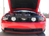 2011 Mustang GT with Whipple 624hp kit